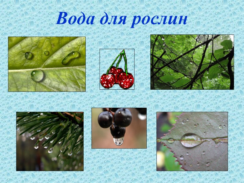Вода для рослин